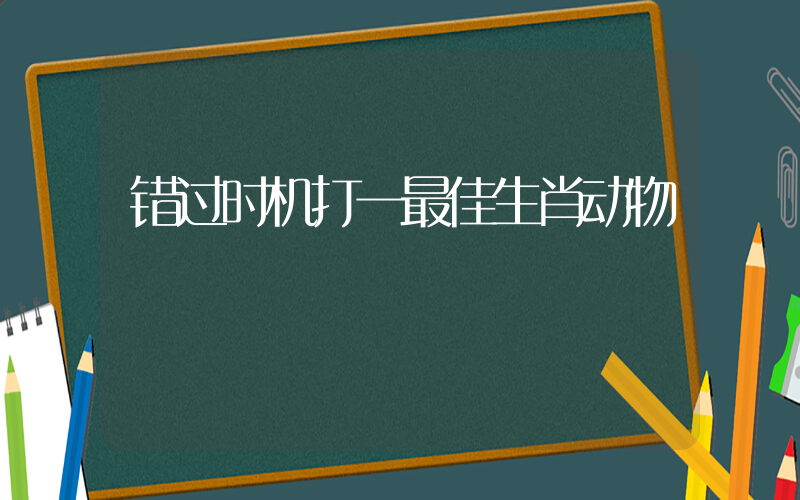 错过时机打一最佳生肖动物插图