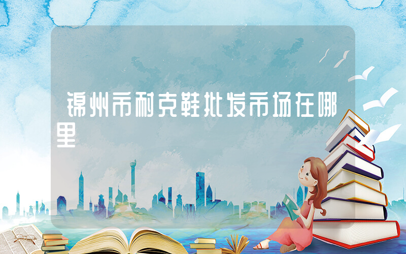 锦州市耐克鞋批发市场在哪里插图