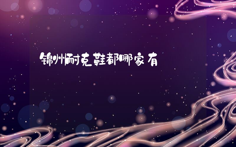 锦州耐克鞋都哪家有插图