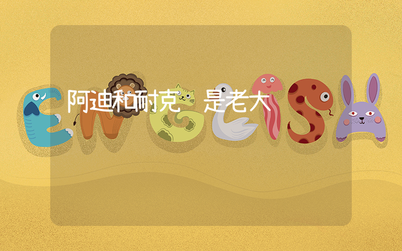 阿迪和耐克谁是老大插图