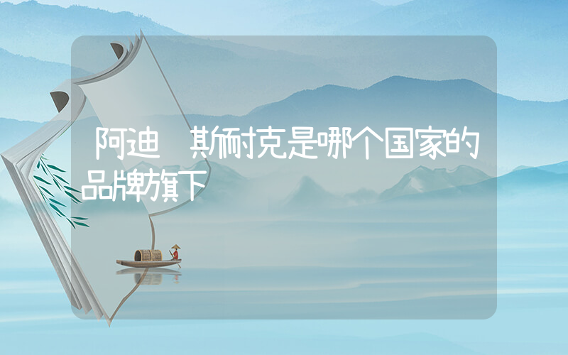 阿迪达斯耐克是哪个国家的品牌旗下插图