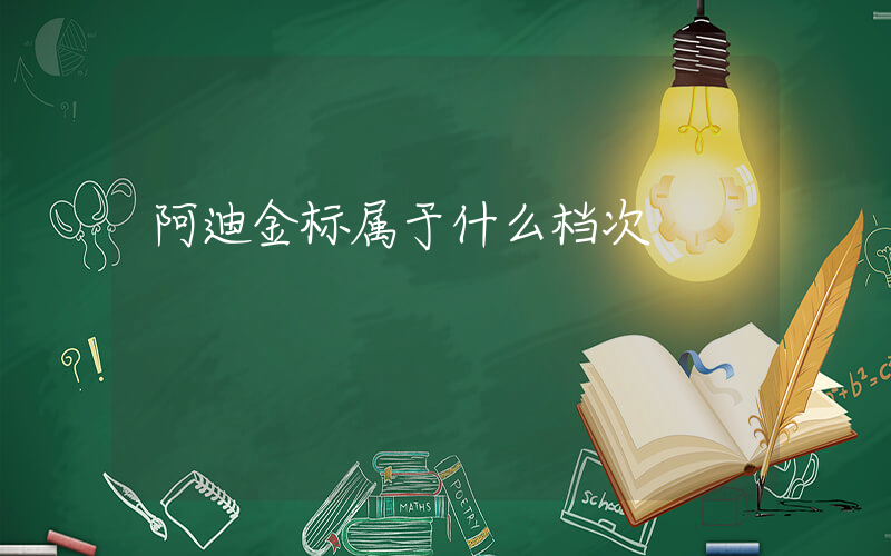 阿迪金标属于什么档次插图