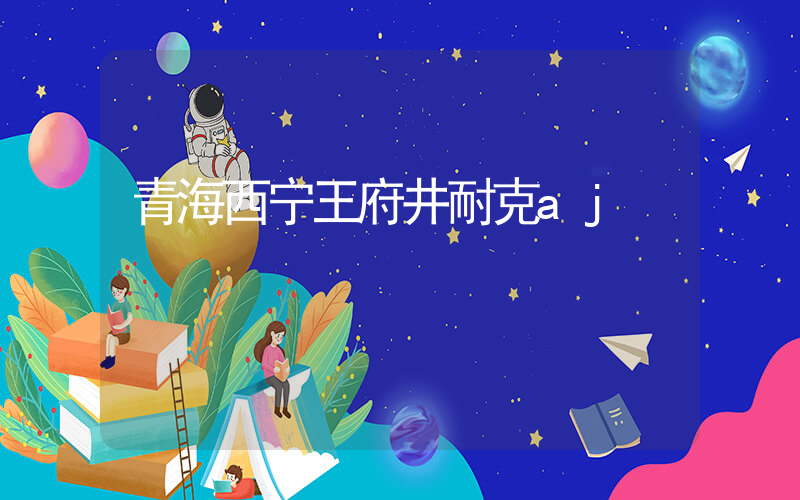 青海西宁王府井耐克aj插图