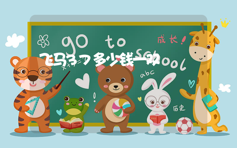 飞马37多少钱一双插图