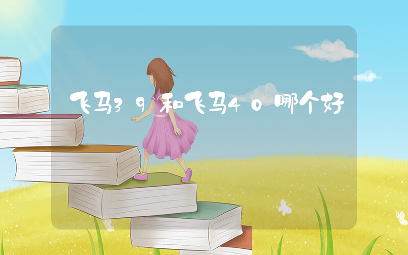 飞马39和飞马40哪个好插图 飞马39和飞马40哪个好插图