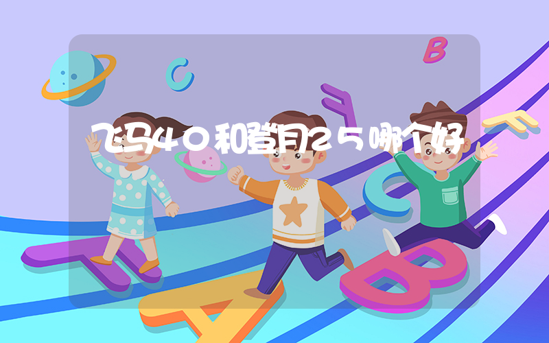 飞马40和登月25哪个好插图