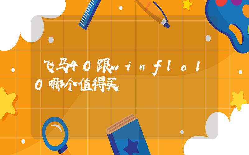 飞马40跟winflo10哪个值得买插图