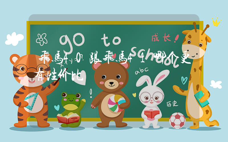 飞马40跟飞马41哪个更有性价比插图
