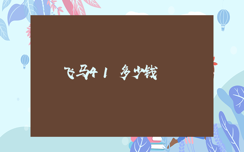 飞马41多少钱插图