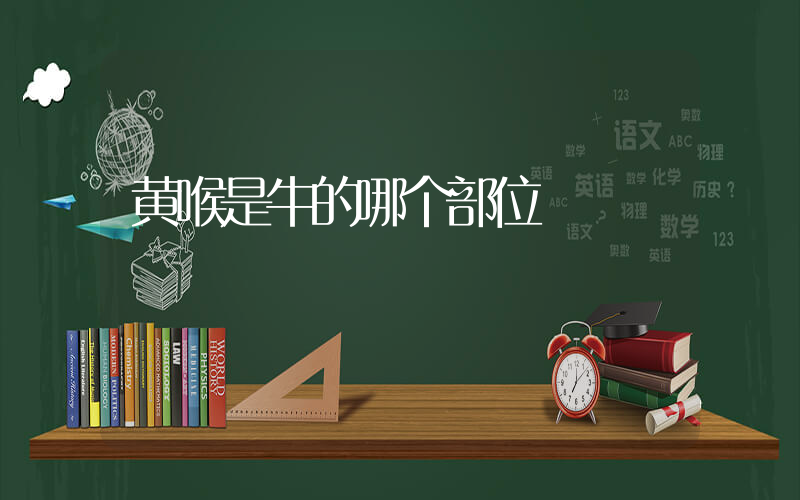黄喉是牛的哪个部位插图
