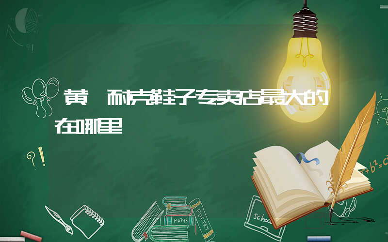 黄骅耐克鞋子专卖店最大的在哪里插图