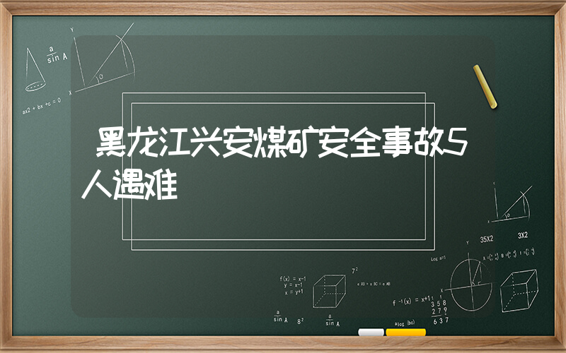 黑龙江兴安煤矿安全事故5人遇难插图 黑龙江兴安煤矿安全事故5人遇难插图