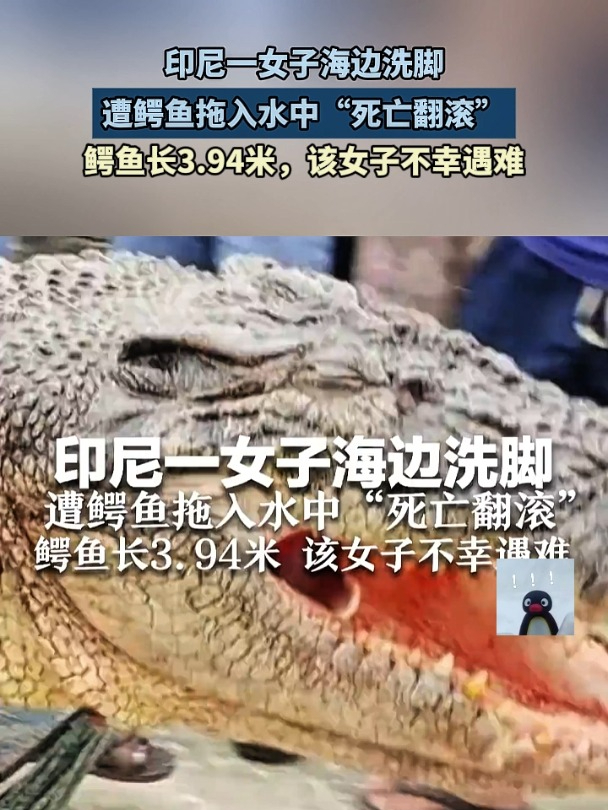 An Indonesian woman washes her feet at the beach and is dragged into the water by a crocodile