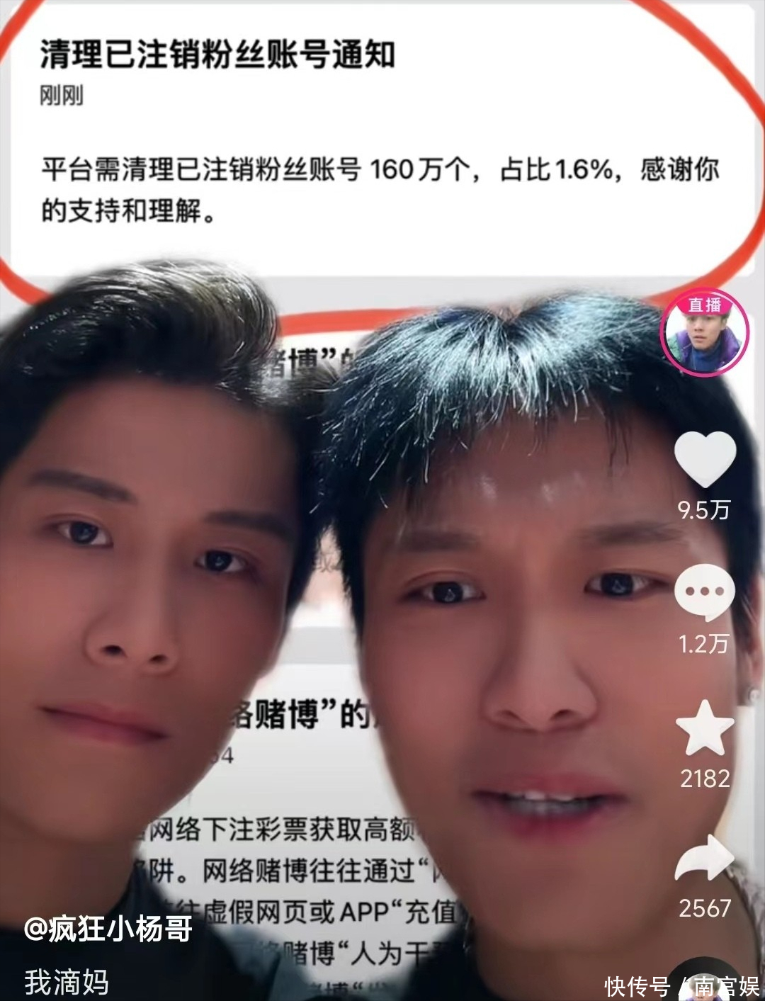 小杨哥已掉粉超200万