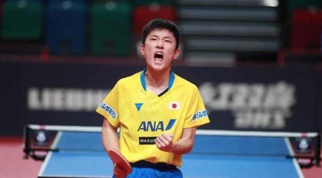 张本智和3-1黄镇廷