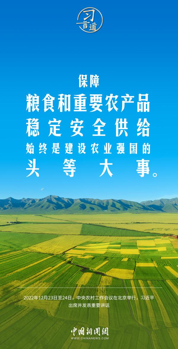 强国必先强农