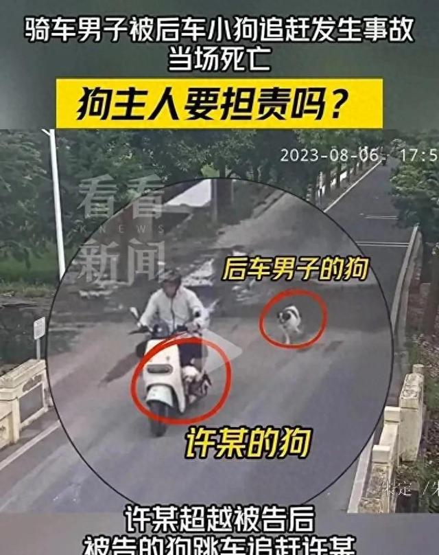 男子被狗追撞树身亡狗主人担责吗
