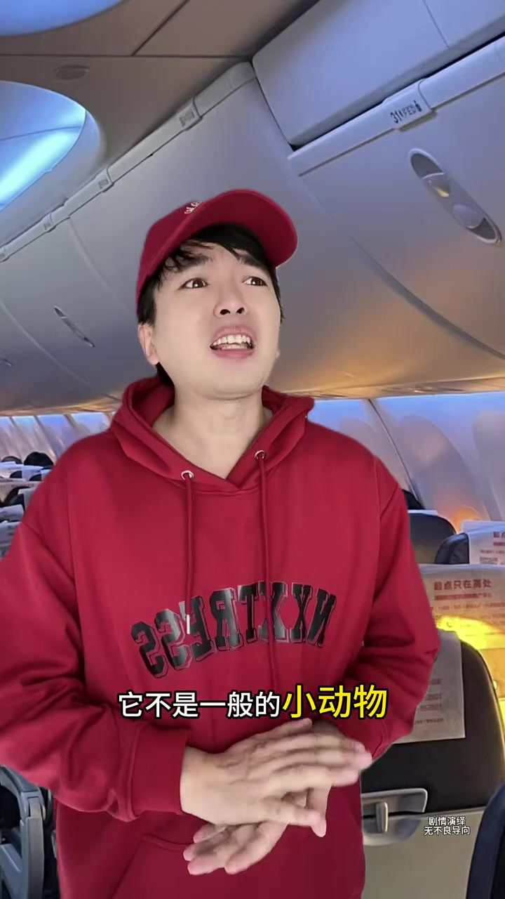 老鼠在飞机上乱窜长安航空回应