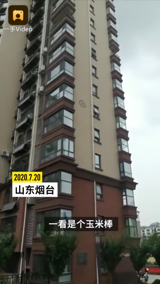 高空抛物伤人全楼查DNA后男子自首