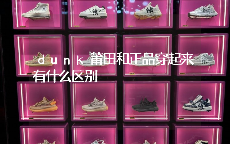dunk莆田和正品穿起来有什么区别插图