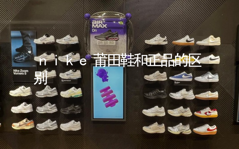nike莆田鞋和正品的区别插图