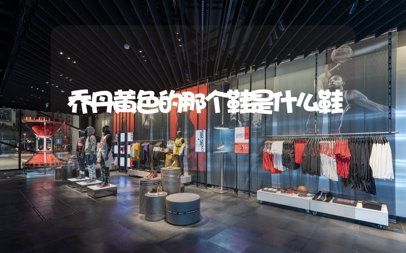 乔丹黄色的那个鞋是什么鞋插图