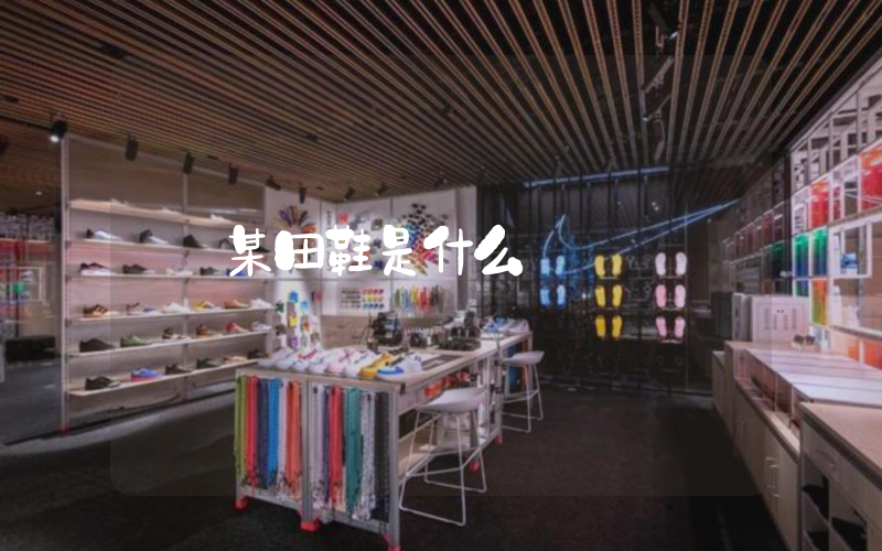 某田鞋是什么插图
