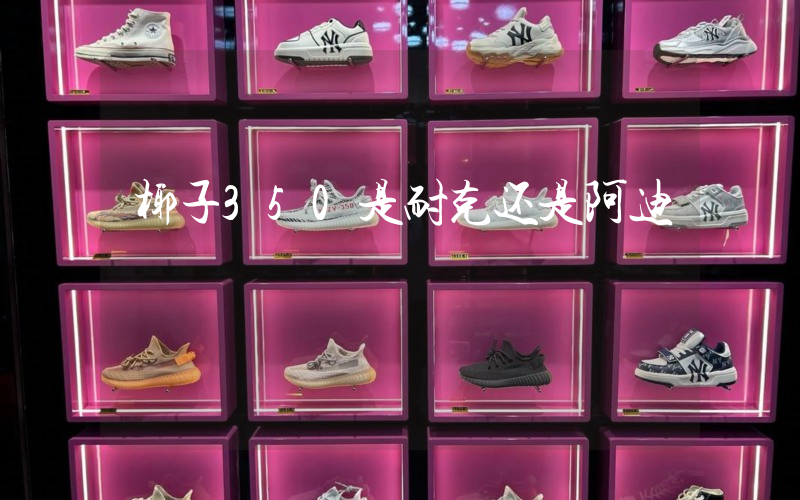 椰子350是耐克还是阿迪插图