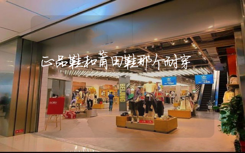 正品鞋和莆田鞋那个耐穿插图