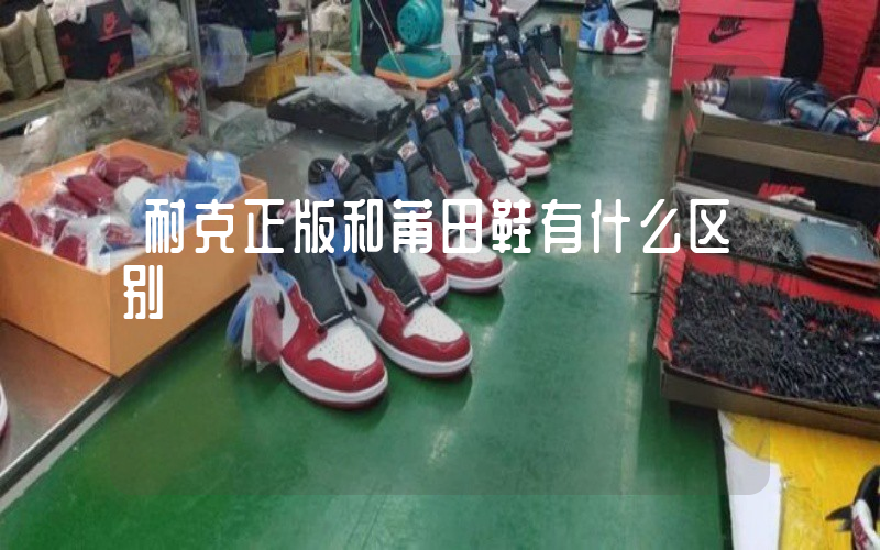 耐克正版和莆田鞋有什么区别插图