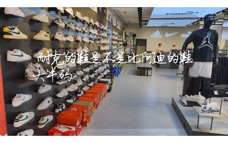耐克的鞋是不是比阿迪的鞋大半码插图