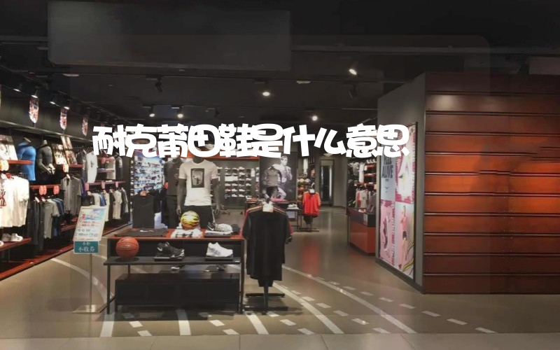 耐克莆田鞋是什么意思插图