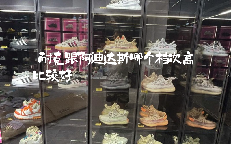 耐克跟阿迪达斯哪个档次高比较好插图