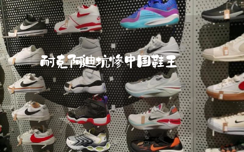 耐克阿迪坑惨中国鞋王插图