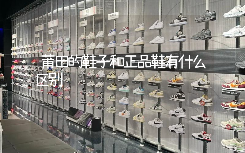 莆田的鞋子和正品鞋有什么区别插图