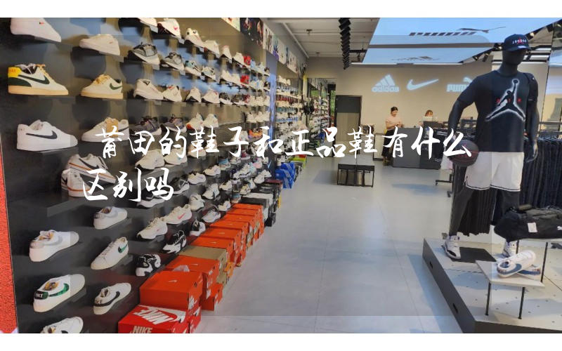 莆田的鞋子和正品鞋有什么区别吗插图
