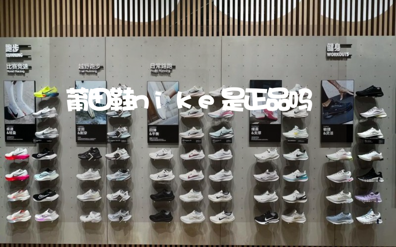莆田鞋nike是正品吗插图