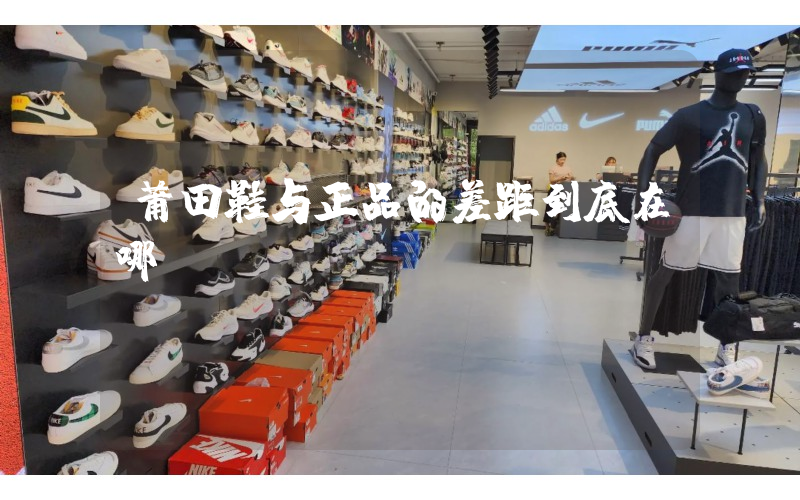 莆田鞋与正品的差距到底在哪插图