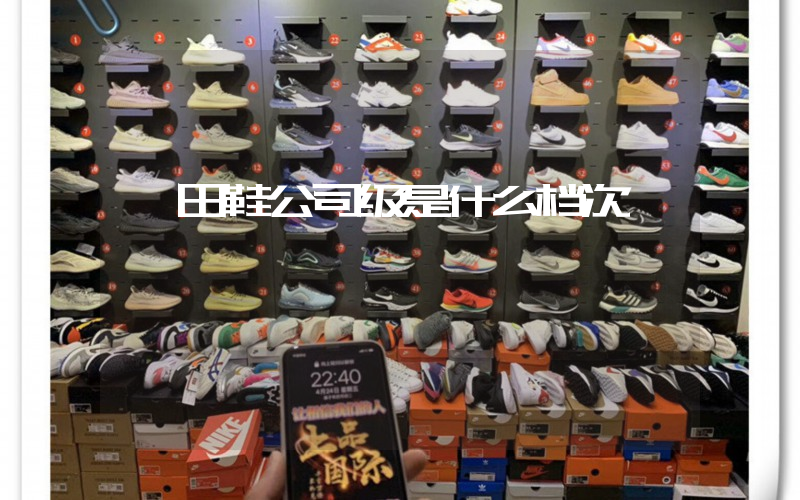 莆田鞋公司级是什么档次插图