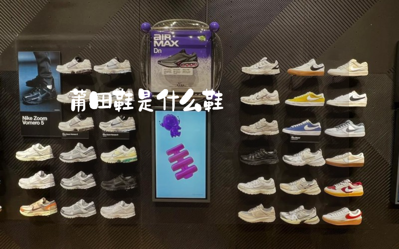 莆田鞋是什么鞋插图