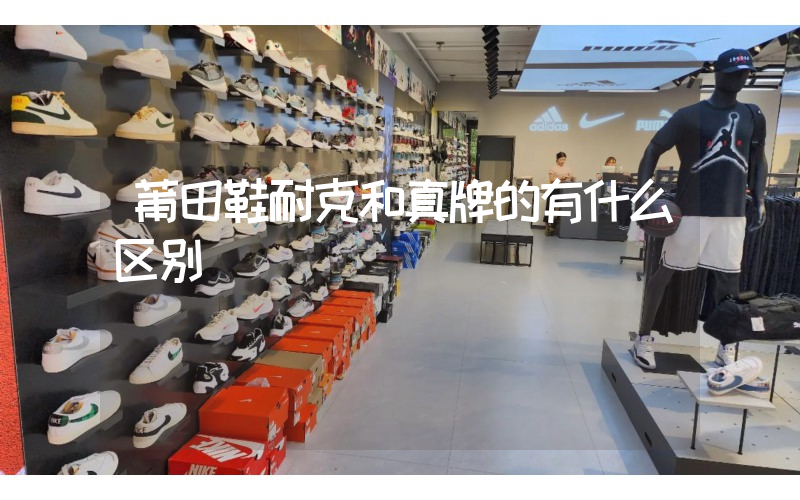 莆田鞋耐克和真牌的有什么区别插图