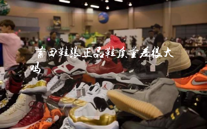 莆田鞋跟正品鞋质量差很大吗插图