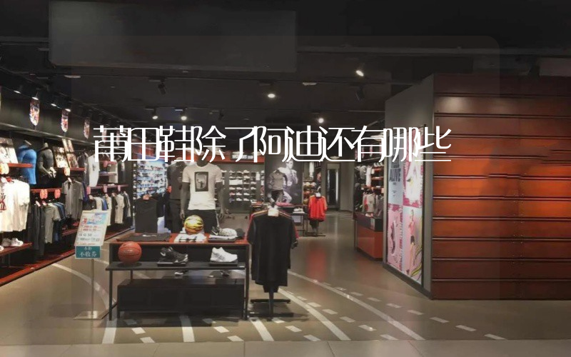 莆田鞋除了阿迪还有哪些插图