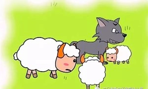 三只羊全面复播
