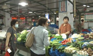 上涨9周后全国蔬菜价格开始回落