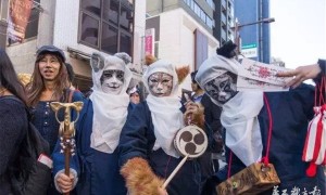 东京一公司雇11只猫减少班气