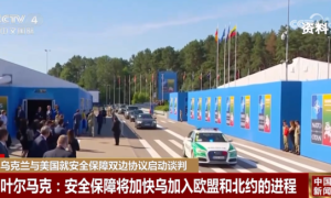 中方确认不参加乌克兰问题和平峰会