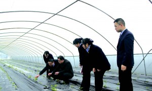 五部门：加大高素质农民信贷支持