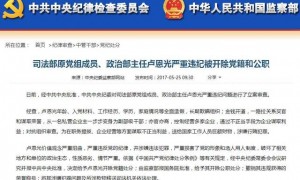 今年上半年立案省部级干部41人