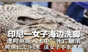 印尼女子海边洗脚遭鳄鱼拖入水中